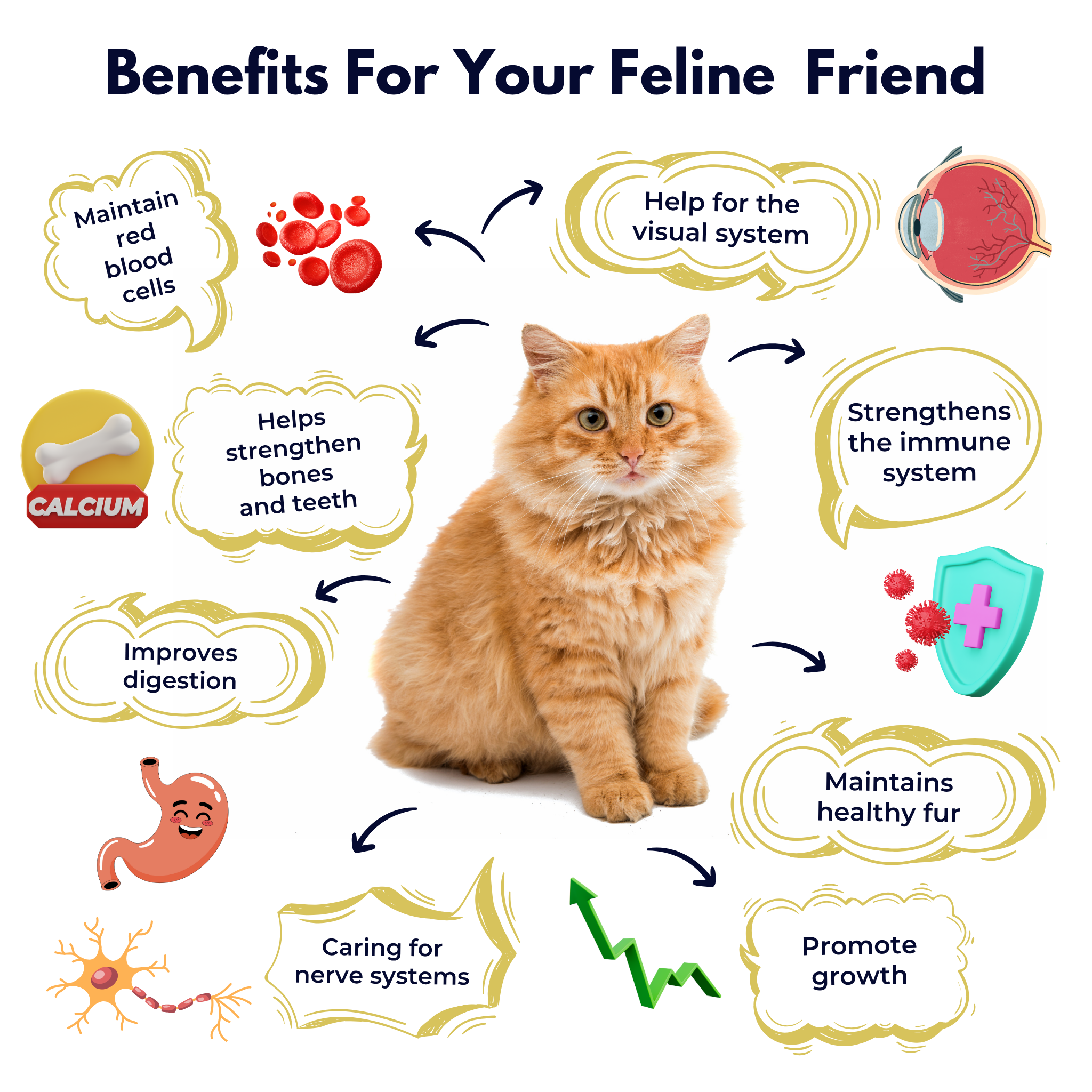 Powercat Fresh Ocean Tuna Dry Food - 500g